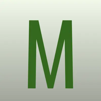 Магазин одежды и обуви, ИП Лизина О.М., лого-визитка